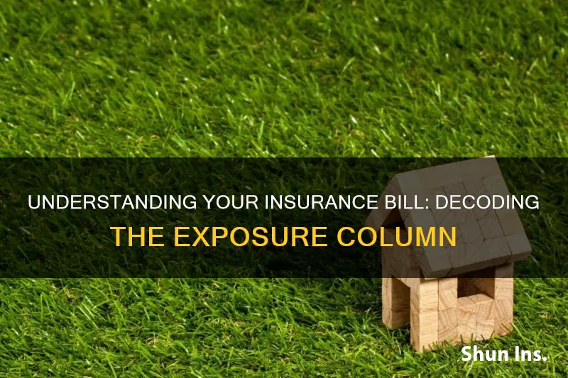 how to read an insurance bill exposure column