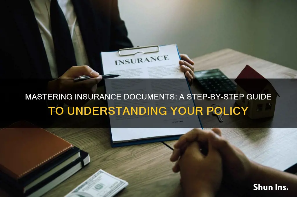 how to read an insurance document
