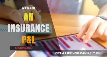 Decoding Insurance P&L Statements: A Comprehensive Guide for Beginners