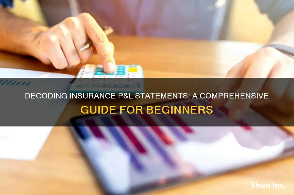 how to read an insurance p&l