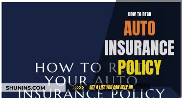 Understanding Your Auto Insurance Policy