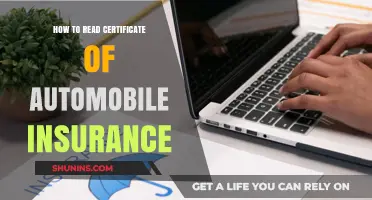 Understanding Your Auto Insurance Certificate: A Step-by-Step Guide