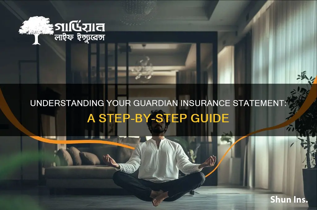 how to read guardian insurance statement