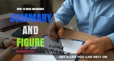 Mastering Your Insurance Summary: Decoding Figures and Key Details Easily