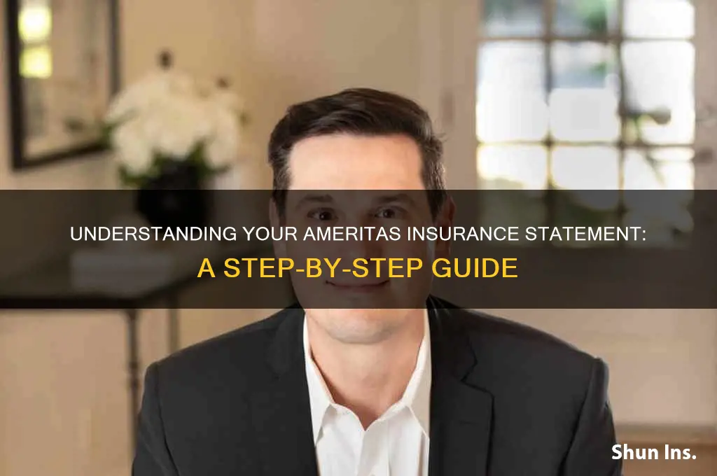 how to read my insurance statement ameritas
