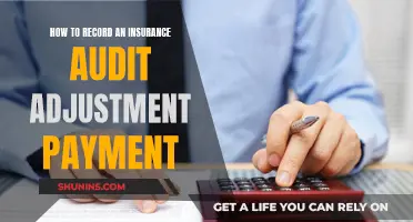 Documenting Insurance Audit Adjustments: A Step-by-Step Guide to Recording Payments