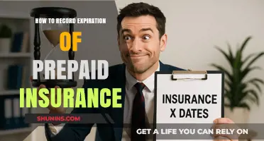 Track Prepaid Insurance Expiry: A Step-by-Step Recording Guide