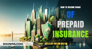 Efficiently Tracking Prepaid Insurance Usage: A Step-by-Step Guide