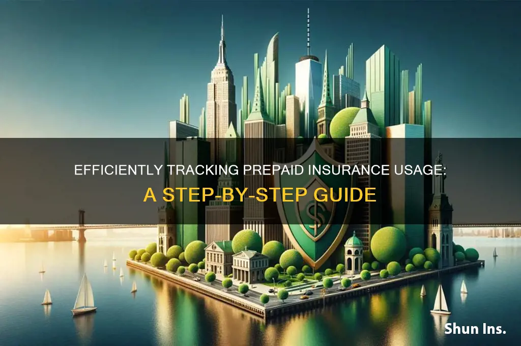 how to record usage of prepaid insurance