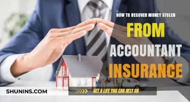 Recovering Stolen Money: Accountant Insurance Claims