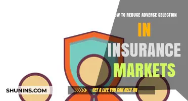 Strategies to Mitigate Adverse Selection in Insurance Markets