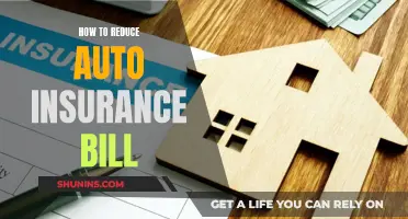 Reducing Auto Insurance Costs: Tips for Lowering Your Bill