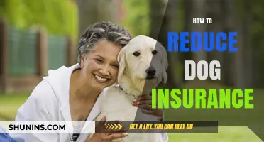 Smart Strategies to Lower Your Dog Insurance Costs Effectively