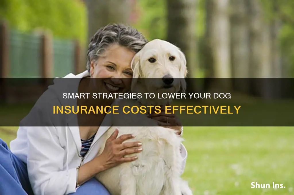 how to reduce dog insurance
