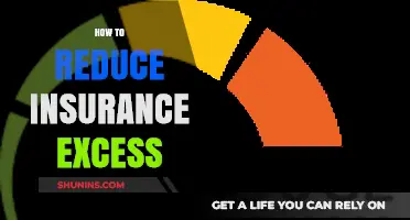Smart Strategies to Lower Your Insurance Excess and Save Money