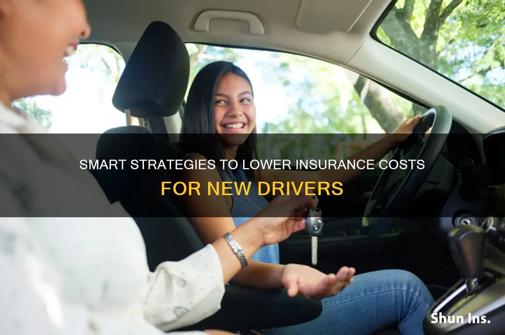 how to reduce insurance for new drivers