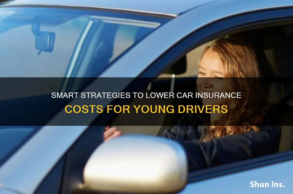 how to reduce insurance for young drivers