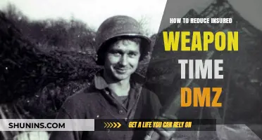 Effective Strategies to Minimize Insured Weapon Time in DMZ Zones