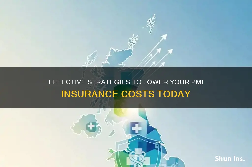 how to reduce pmi insurance