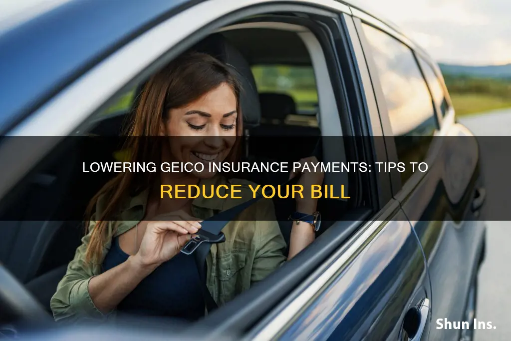 how to reduxe geicos insurance payment
