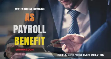 Reflecting Insurance as a Payroll Benefit: A Comprehensive Guide