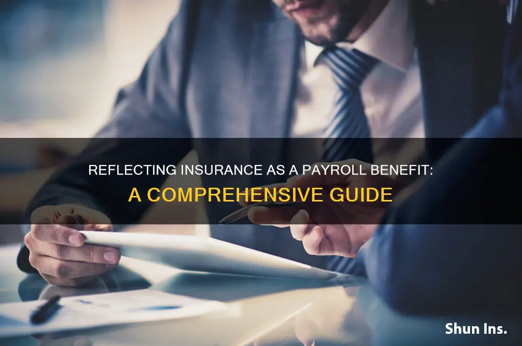 how to reflect insurance as payroll benefit