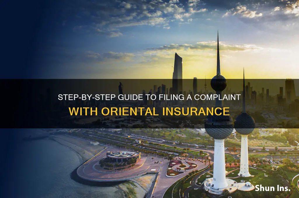 how to register a complaint in oriental insurance