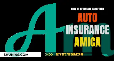 Reinstating Amica Auto Insurance: What You Need to Know