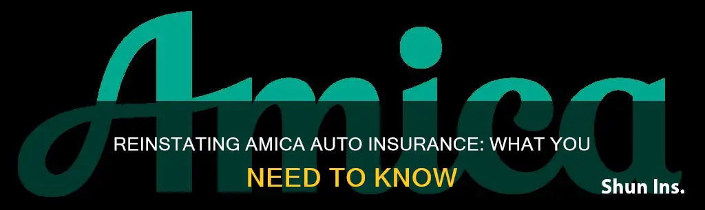 how to reinstate cancelled auto insurance amica