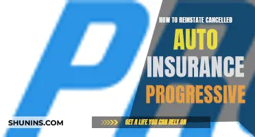 Reinstating Your Cancelled Auto Insurance: Progressive's Steps and Tips