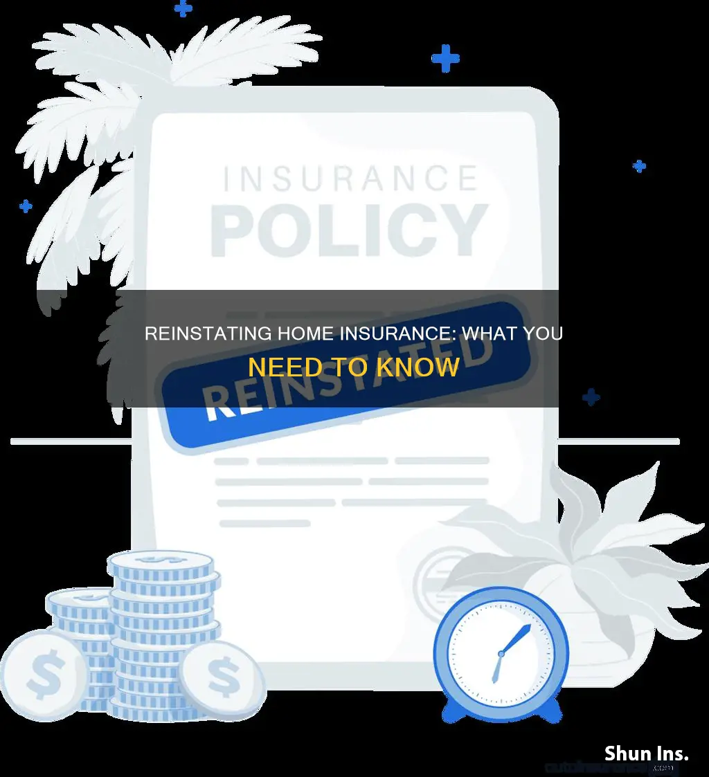 how to reinstate homeowners insurance