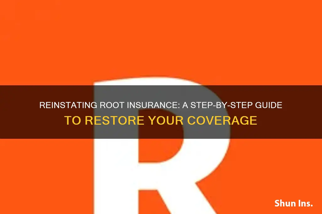 Reinstating Root Insurance: A Step-By-Step Guide To Restore Your ...