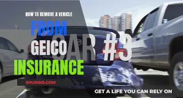 Removing Vehicles from GEICO Insurance Coverage