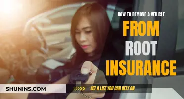 Removing Vehicles from Root Insurance