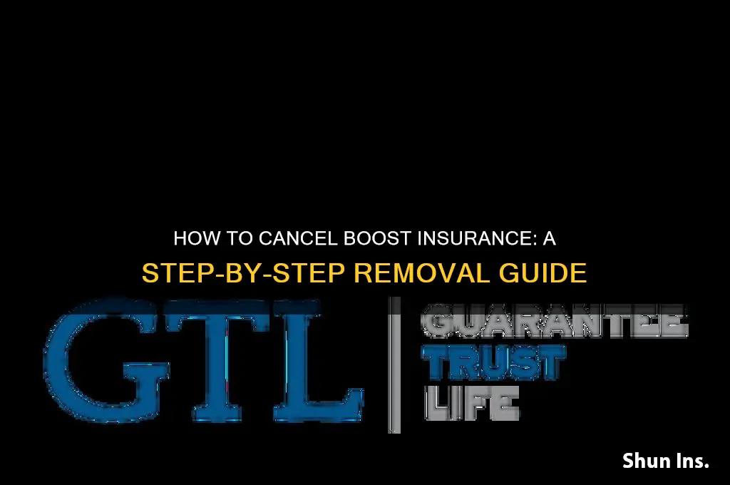 how to remove boost insurance