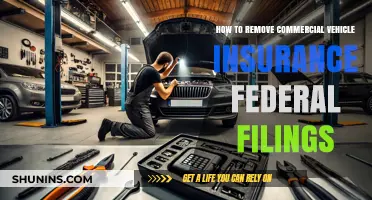 Remove Commercial Vehicle Insurance: Federal Filings Simplified