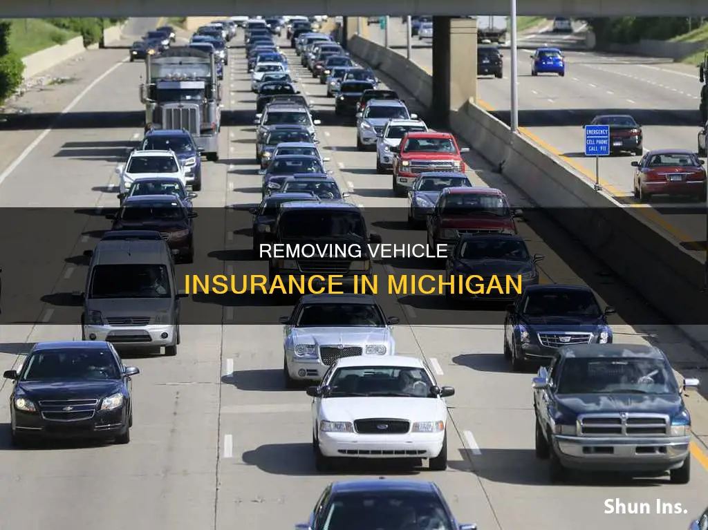 how to remove insurance from a vehicle michigan