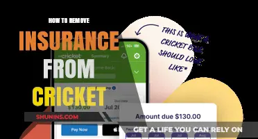 Removing Insurance from Cricket: A Comprehensive Guide to Simplifying the Game