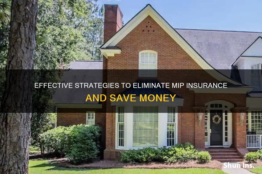 how to remove mip insurance