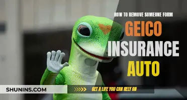 Removing Someone from Your GEICO Auto Insurance Policy