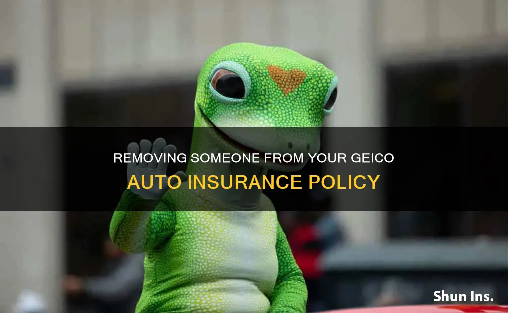 how to remove someone form geico insurance auto