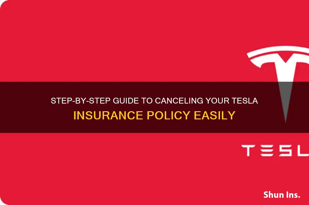 how to remove tesla insurance