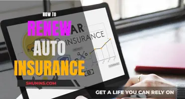 Auto Insurance Renewal: A Quick Guide