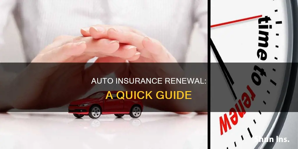 how to renew auto insurance