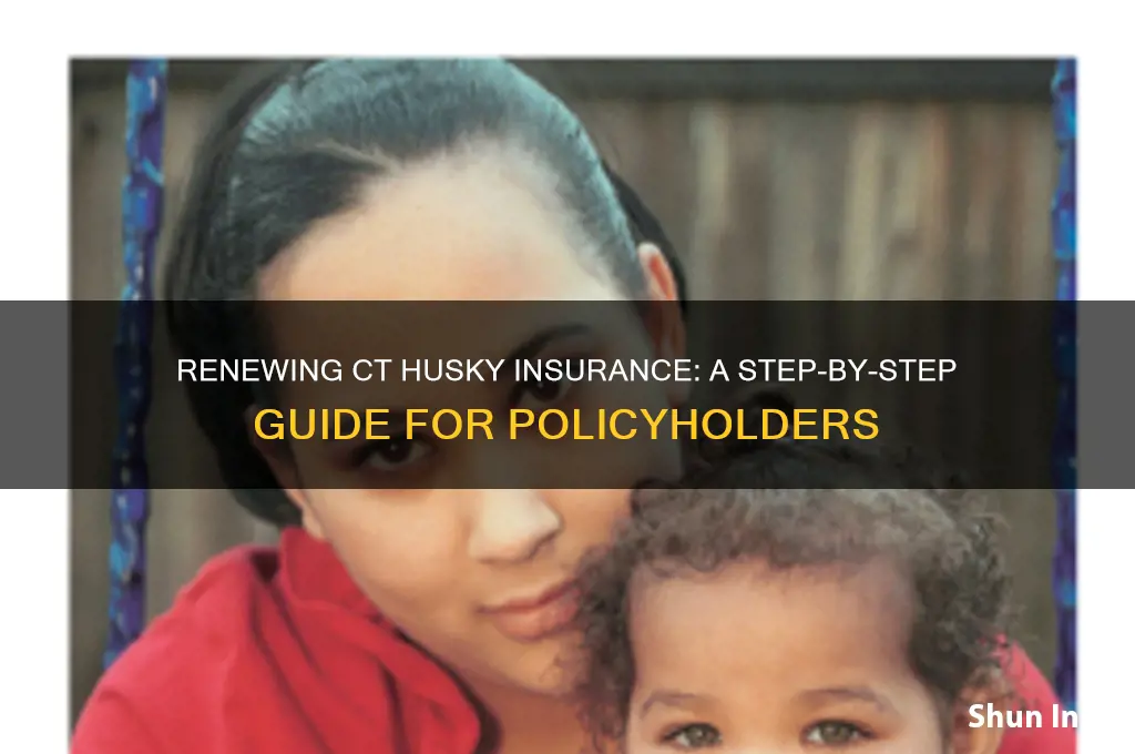 how to renew ct husky insurance
