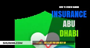 Renewing Daman Insurance in Abu Dhabi: A Step-by-Step Guide