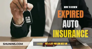 Renewing Expired Auto Insurance: A Quick Guide to Follow