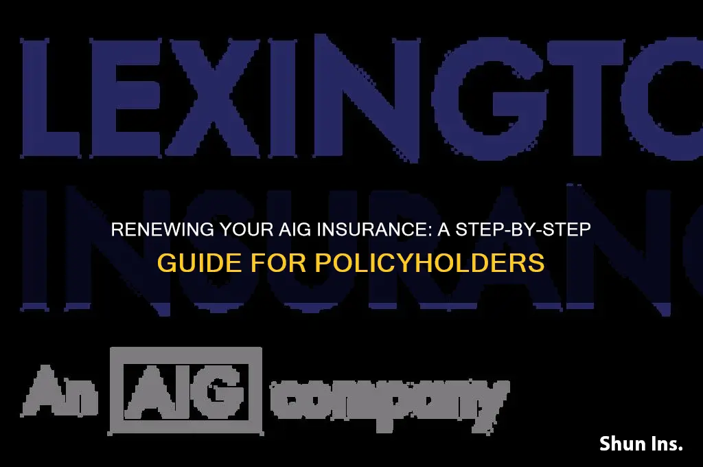 how to renew insurance aig insurance