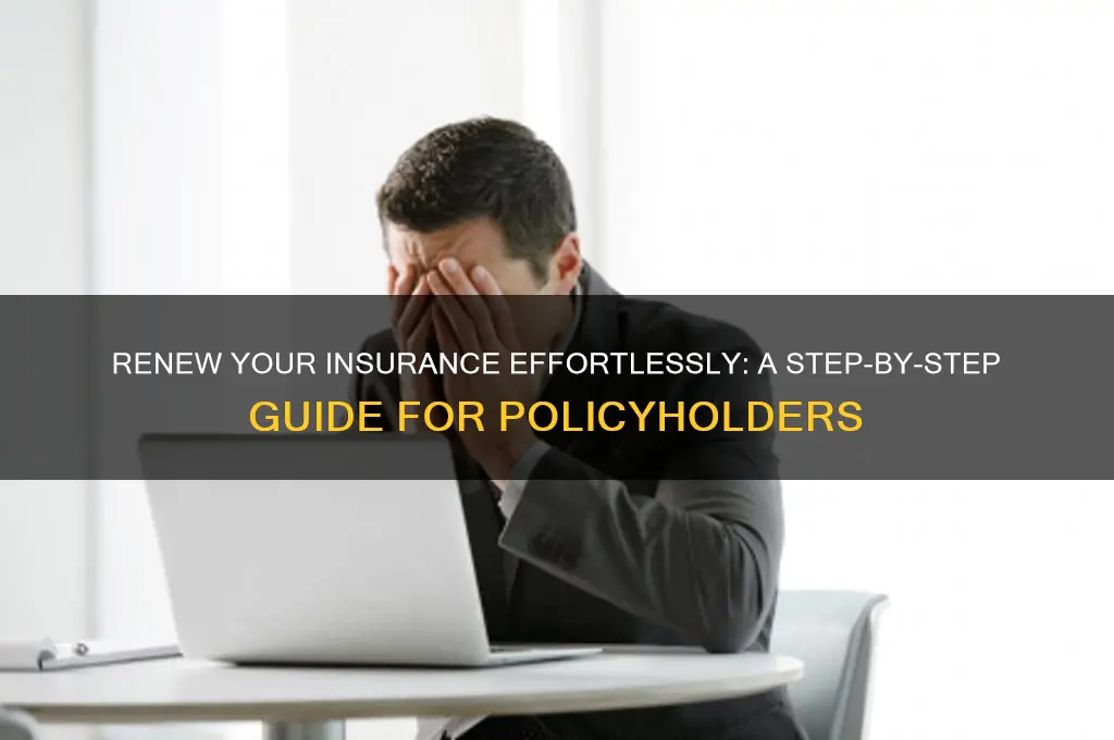 how to renew insurance