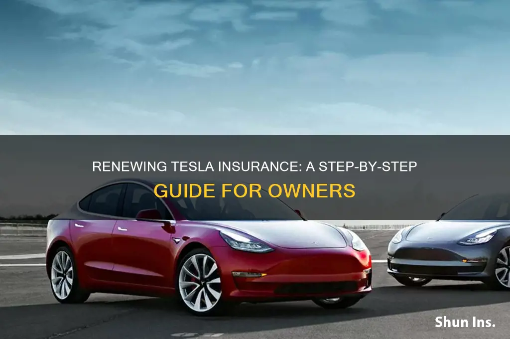 how to renew tesla insurance